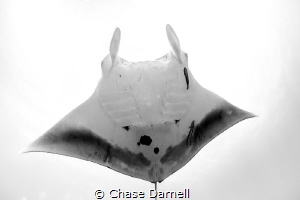 "Freeze Frame"
One of those encounters you will never fo... by Chase Darnell 
